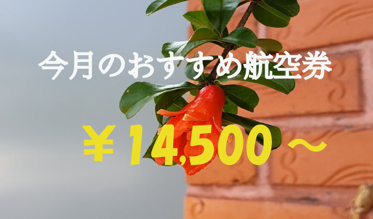 今月のおすすめ航空券
